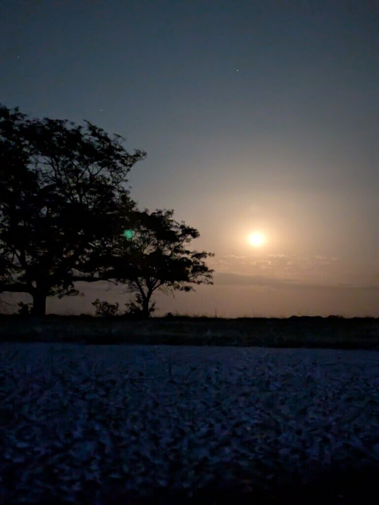 Moon rising with tree on the left side